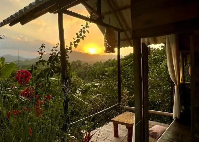 Eco Cabins By La Mona Palomino